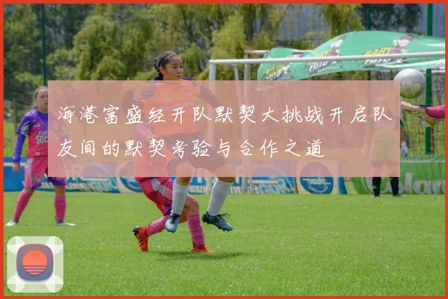 海港富盛经开队默契大挑战开启队友间的默契考验与合作之道